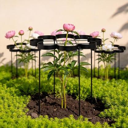 25" Peony Cages and Supports Elegant Modern Flower Support Stakes - color: Black