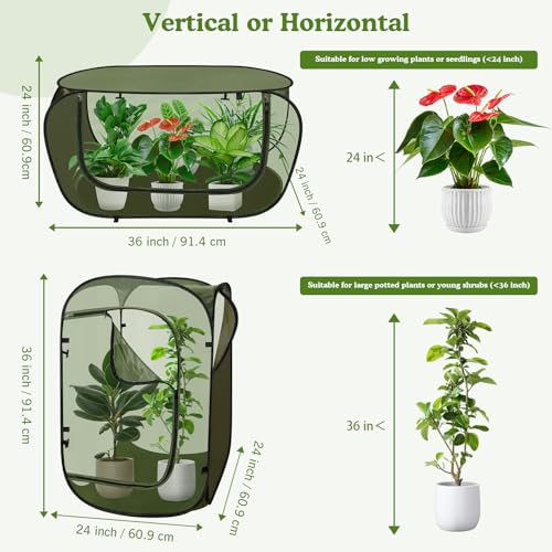 24"x24"x36" Pop Up Mesh Plant Covers, Insect Barrier Plant Enclosure - color: Green
