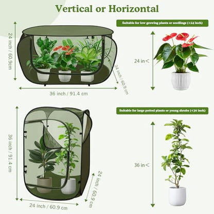 24"x24"x36" Pop Up Mesh Plant Covers, Insect Barrier Plant Enclosure - color: Green