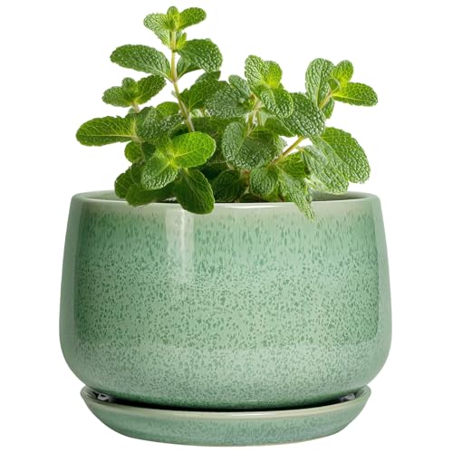 G EPGardening Ceramic Plant Pot - 4 inch Plant Pots with Drainage Hole & Saucer, Small Pots for Plant Indoor Outdoor, Modern Round Planter, Decorative Flower Pot, Room Decor, House Warming Gift, Green - color: Snowflake Green, size: 4 Inch