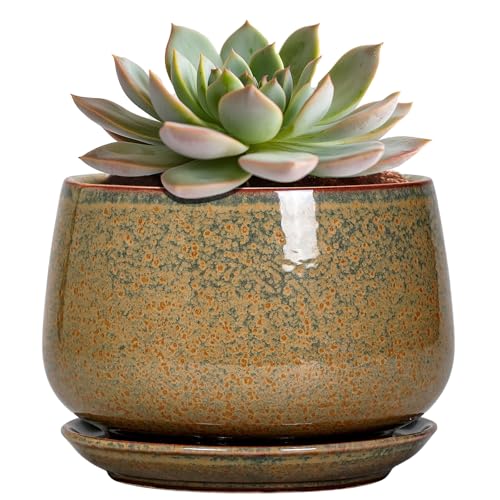 G EPGardening 6 Inch Plant Pot - Ceramic Succulent Pots with Drainage and Ceramic Tray, Round Planter for Indoor Outdoor Plants, Decorative Flower Pots, Home Decor, Gift for Women Men, Speckled Brown - color: Speckled Brown, size: 5 Inch