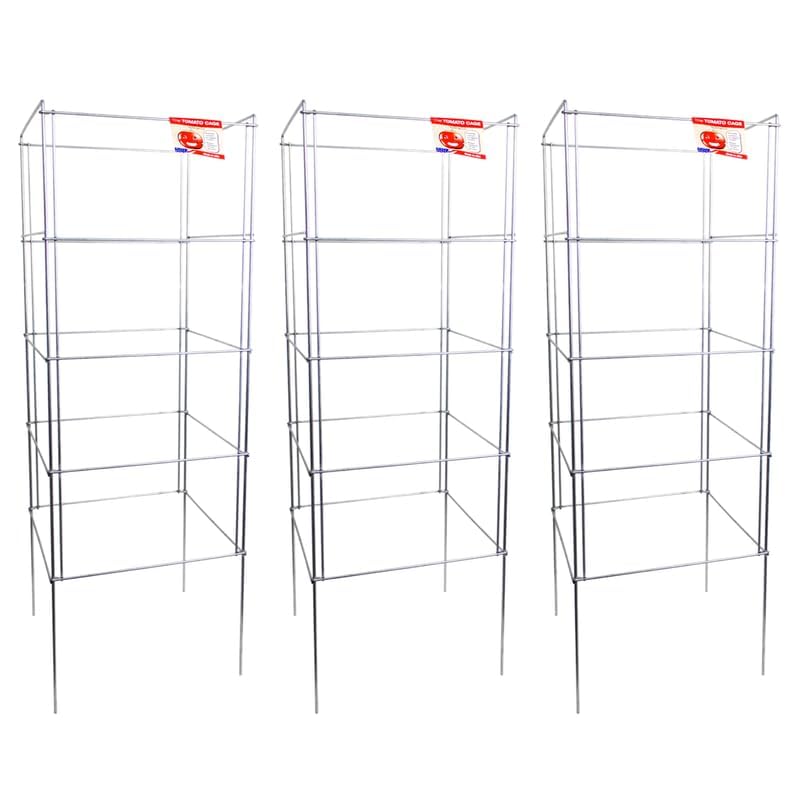 Cedar Ridge Square Foldable Tomato Cages - Heavy Duty Plant Support for Vegetable Garden, Vegetables, and Flowers - Stakes and Trellis for Climbing Plants - Made in The USA (13x40) - 3-Pack - size: 13 x 40 inches