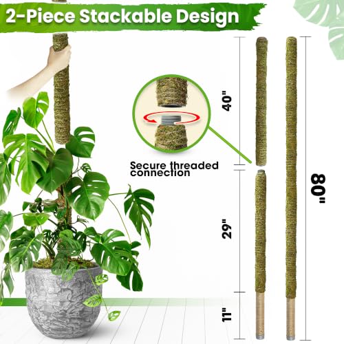 DUSPRO 80" Large Stackable Moss Pole for Plants Monstera, (1pc., 80'') - size: 80'' MOSS POLE for SUPER-BIG PLANTS