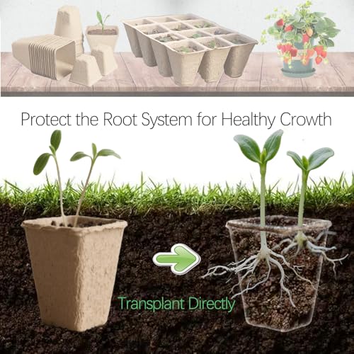 10 Packs Peat Pots, 120Pcs Seed Starter Tray Kit with 120Pcs Plant Labels, Biodegradable Seed Starter Pots, Germination Kit for Garden Plant Nursery - size: Small