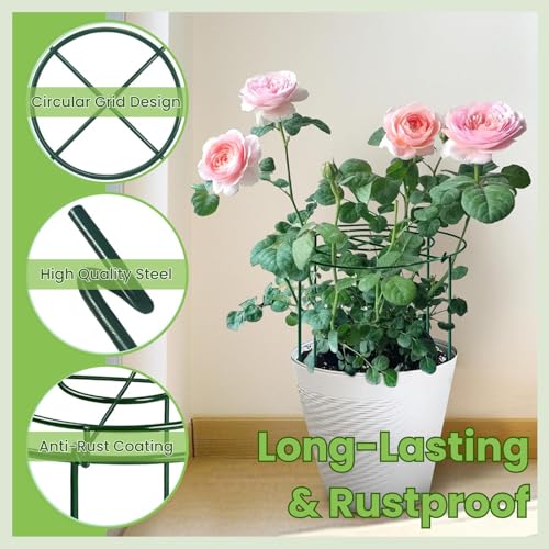 Lancisism 8 Pack Peony Cages and Supports - Heavy Duty Grow Through Metal Plant Support for Outdoor Plants - Plant Support Frame Ring for Rose Tomato Hydrangea Sage Strawberry 12" D x 16" H