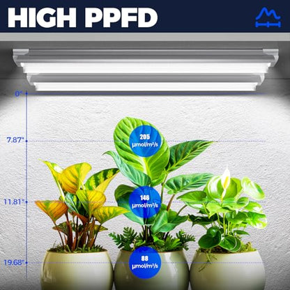 Barrina T8 Grow Lights, 2FT 5000K White Full Spectrum Plant Lights, 6 Packs - size: 2FT