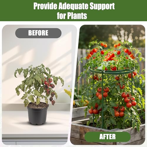 MJZ 8 Pack Peony Cages and Supports, 11.8" D x 25" H Plastic Plant Supports - color: Green-Plastic-8PC