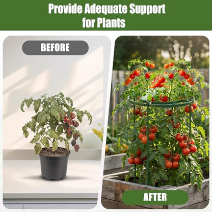 MJZ 8 Pack Peony Cages and Supports, 11.8" D x 25" H Plastic Plant Supports - color: Green-Plastic-8PC