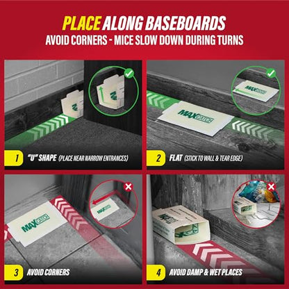 Catchmaster Max-Catch Unscented Glue Traps 72pk, Sticky Mouse Traps Indoor - style: 72-PK Unscented