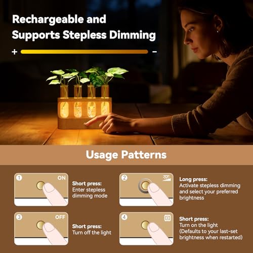 Lightalent Rechargeable Plant Propagation Station, LED Hydroponic Terrarium