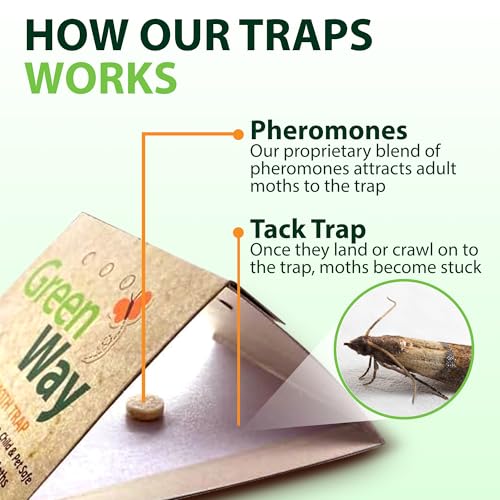 Greenway Pantry Food Moth Traps, 1 Pack (Includes 2 Traps and 2 Lures)