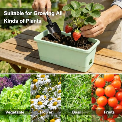 Oliz Window Box Planter 6 Packs, 13.8 Inches Rectangle Flower Pots with Drainage Holes & Trays, Pots for Vegetables, Herbs, Flowers, Garden Windowsill Balcony (Green) - color: Green