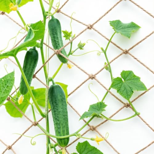 Jute Trellis Netting for Climbing Plants Heavy Duty Jute Plant Support Net for Garden Natural Jute Hemp Rope Net with 5.9 inch Mesh for Climbing Vining Plants, Cucumber, Tomatoes (6.5 * 10 FT) - size: 6.5*10 FT