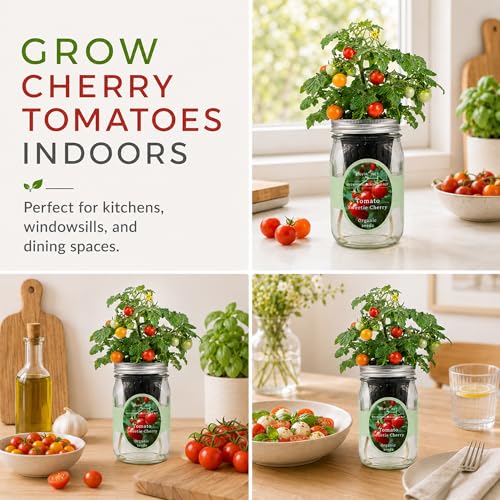 Hydroponic Tomato Growing Kit, Self-Watering Mason Jar Tomato Garden Starter Kit Indoor, Grow Tomatoes from Organic Seeds (Sweetie Cherry Tomato) - color: Sweetie Cherry Tomato
