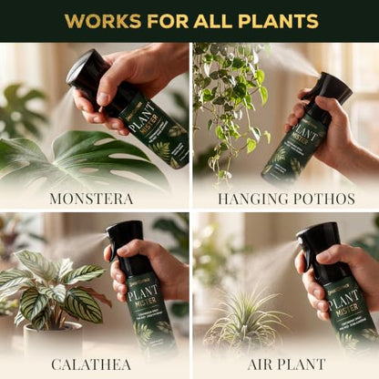 Plant Mister Spray Bottle for Indoor Plants With Plant Care Guide - color: Dark Green Tropical