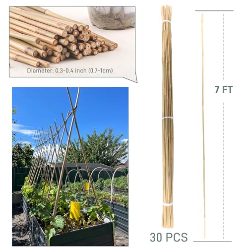 30Pcs / 7ft Bamboo Plant Stakes for Indoor Outdoor Plants, Garden Plant Support Sticks, Poles for Tomato Vegetables Beans Trees Potted Climbing Plants(0.32''-0.4'') - size: 7 FT 30PCS