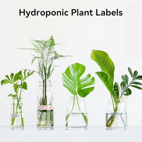 NIIMBOT Plant Label 13×45mm (0.51'' x 1.77''), Only for N1(B18) Label Maker - color: 0.51''×1.77''-clear Gardening