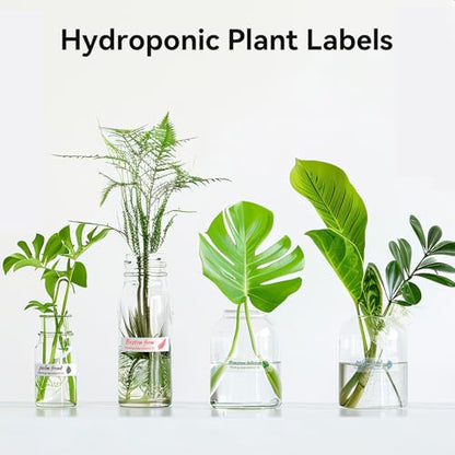 NIIMBOT Plant Label 13×45mm (0.51'' x 1.77''), Only for N1(B18) Label Maker - color: 0.51''×1.77''-clear Gardening