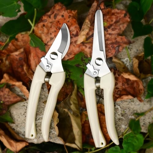 2 PACK Pruning Shears, Stainless Steel Garden Shears, Sharp Handhled Gardening Scissors, Bypass & Straight Blade Garden Clippers for Plants, Flowers, Fruits Trees, Gardening Gifts -Blue - color: Blue