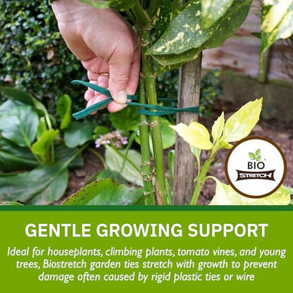 Soft Garden Plant Ties for Indoor & Outdoor Plants - Strong & Stretchy Cut-to-Length Plant Tape for Climbing Plants, Tomato Vines & Home Gardening (656 ft / 200M) - size: 656 ft / 200M