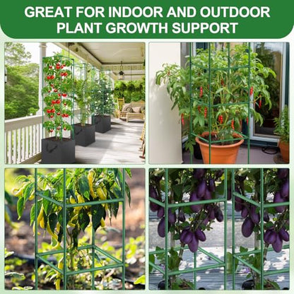 Lezmarket 3 Pack Tomato Cages for Garden, Tomato Trellis for Raised Garden Bed with Plant Clips and Twist Ties for Climbing Plants, 43 inches - size: 3 Pack