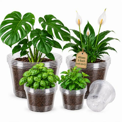 Bluepro Clear Nursery Pots with Drainage Holes, 6/8/10/12 Inch, 20-Pack - size: 6/8/9.5/12 Inch-20Pcs