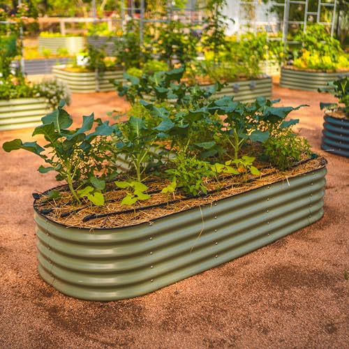 Vego garden Raised Garden Bed Kits, 17" Tall 6 in 1 Modular Metal Raised Planter Bed for Vegetables Flowers Patio Ground Planter Box-Olive Green - color: Olive Green