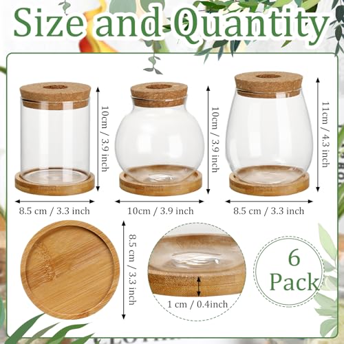 6 Pcs Glass Plant Propagation Station with Wood Lid & Stand, Classic Style - style: Classic