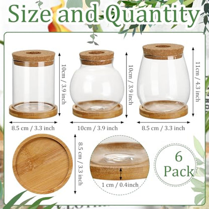 6 Pcs Glass Plant Propagation Station with Wood Lid & Stand, Classic Style - style: Classic