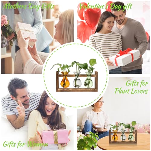 Plant Propagation Station Plant Terrarium Unique Birthday Gifts for Women - color: Color04