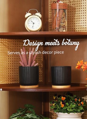 4 Inch Small Plant Pots Indoor, Ceramic Flower Pot with Drainage Hole and Tray, Modern Vertical Pattern Planter for Succulents, Snake Plant, Aloe, Herbs, Black, Set of 4 - color: Black(4inch)