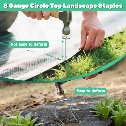 12 Inch 8 Gauge Circle Top Landscape Fabric Staples, HKKZYT 25/50/100 Pcs Galvanized Landscape Fabric Pins, Gardening Essentials Garden Weed Barrier Stakes Sod Staples for Outdoor (25pcs)