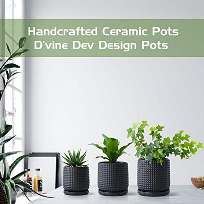 D'vine Dev Beaded Ceramic Pot with Saucer, 6 in, Ebony Matte, 27-C-X-6 - color: Ebony Matte, size: 5.8 Inch