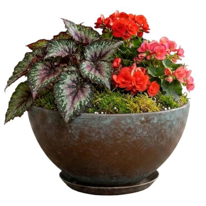 10" Rosie Bowl with Saucer in Weathered Copper - color: Weathered Copper