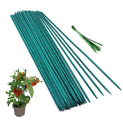 GAGINANG Green Bamboo Plant Stakes, 50 Pcs 15 Inches Floral Support Sticks - size: 15 inches