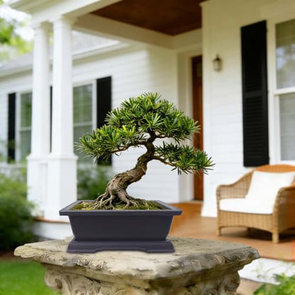 MUZHI 6Pack Plastic Bonsai Pot with Drainage Drip Tray, Retro Style Rectangle Garden Plant Pots Bonsai Planters Nursery Pots Maceta Cuadrada with Tray (2pcs 9"+2pcs 7.5"+2pcs 6.5") - size: 2pcs 9"+2pcs 7.5"+2pcs 6.5"