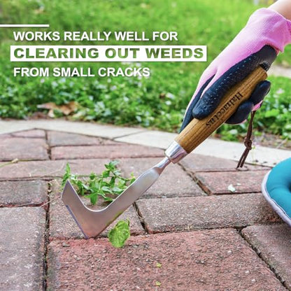 Haliaeetus Crack Weeder Tool, L Shaped Stainless Steel Crevice Weeding Tool - size: 11'' Crack Weeder Tool