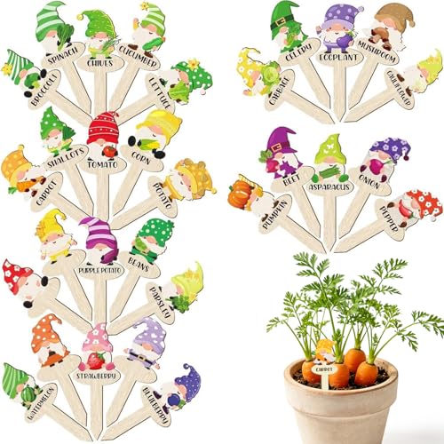 30pcs Funny Wooden Plant Labels, Spring Wooden Colorful Gnomes Garden Plant Labels with Stake Tab Signs for Indoor Outdoor Gardens Plants Patio Supplies Novelty Gifts - color: Gnomes