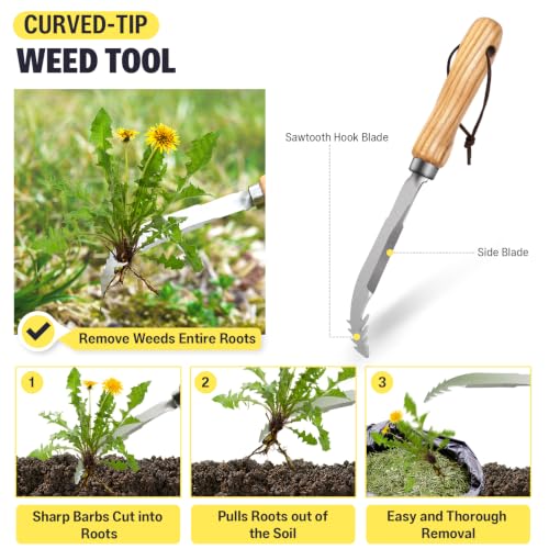 3 Pack Garden Weeding Tool Set, Crack & Crevice Weeder