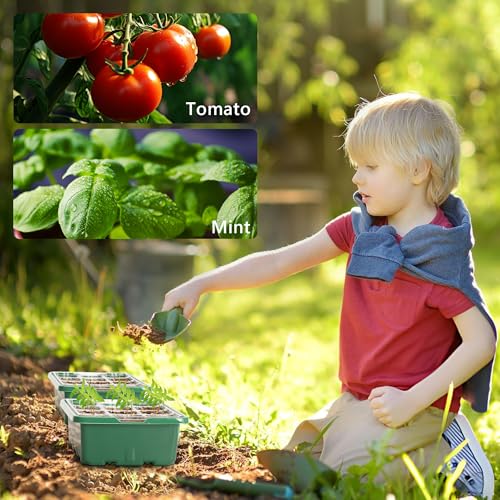 Bonviee 10-Pack Seed Starter Trays, Tall Dome, Base, 12-Cell Tray, Green - color: Green, size: 10 Packs (120 Cells)