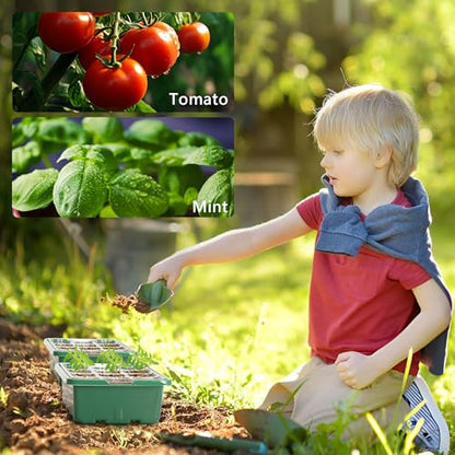 Bonviee 10-Pack Seed Starter Trays, Tall Dome, Base, 12-Cell Tray, Green - color: Green, size: 10 Packs (120 Cells)