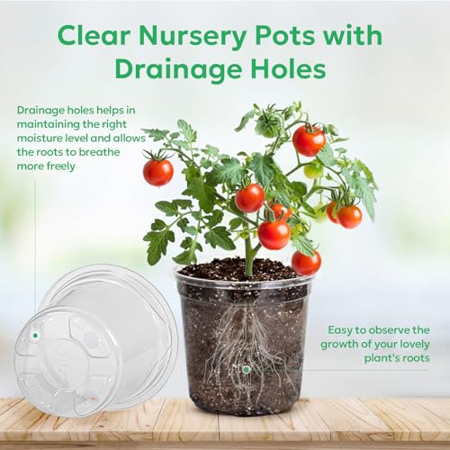 Bluepro Clear Nursery Pots with Drainage Holes, 5 Inch, 30-Pack - size: 5 Inch-30Pcs