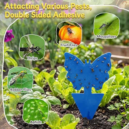 400 Pack Fruit Fly Traps Fungus Gnat Sticky Traps Colorful Plant Fly Stickers for Indoor Outdoor Kitchen Garden Houseplant Protect the Plant, Butterfly and Flower Style