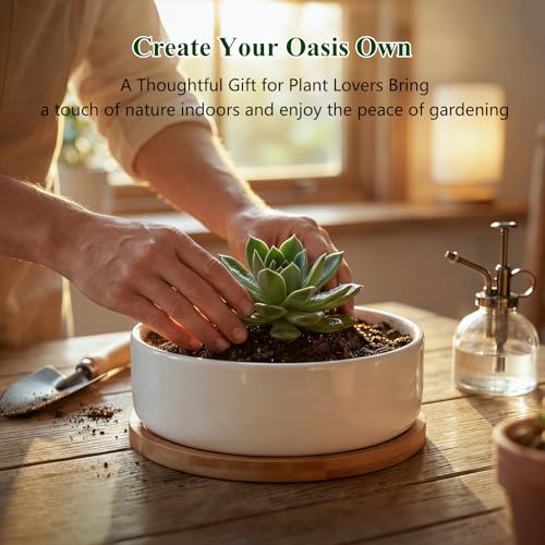 ZOUTOG 2 Pack 6" Ceramic Succulent Pots, White Planters with Drainage Tray - color: 2 Pack, size: 2.28 Inch High