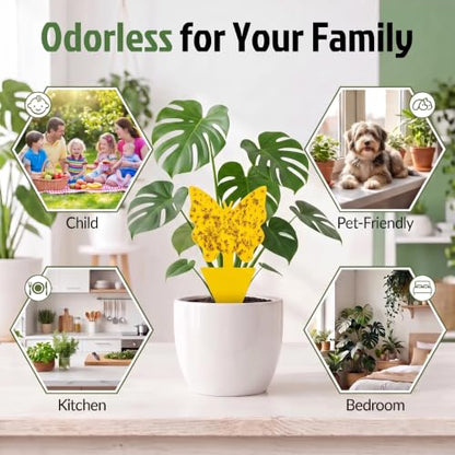 Yellow Sticky Fruit Fly Trap 60 Pack, Gnat Traps for House Indoor Plants - size: 60 Pack