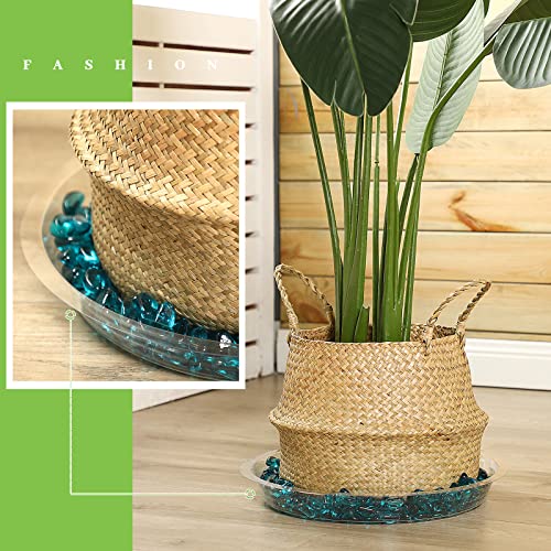 Shellwei 18 Pack 16 Inch Plastic Plant Saucers Extra Large Clear Flower Pot Drip Trays Plants Drip Tray Plant Drainage Tray Plants Saucer Trays for Indoors Outdoors - size: 16 Inch
