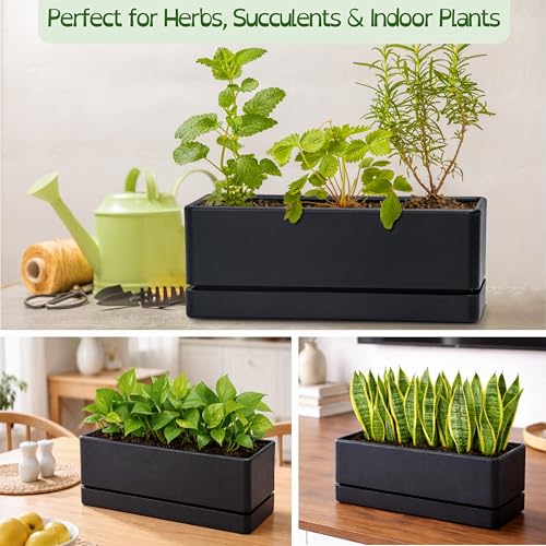 D'vine Dev Rectangular Planter, 12 x 4.5 in, Black, 76-X-B-1 - color: Black
