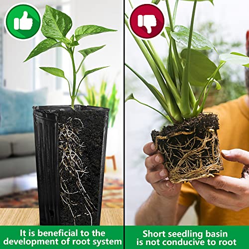 RunNico 50pcs Plastic Deep Plant Nursery Pots, 9.8”Tall Tree Pots,Black Deep Seedling Container Pots with Drainage Holes for Indoor Outdoor Gardening (4.7" Wx9.8 H) - color: 4.7"wx9.8"h