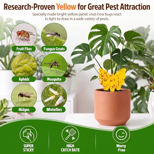 40 Pack Fungus Gnat Traps, Yellow Sticky Fruit Fly Traps for Indoor Plants - size: 40 packs