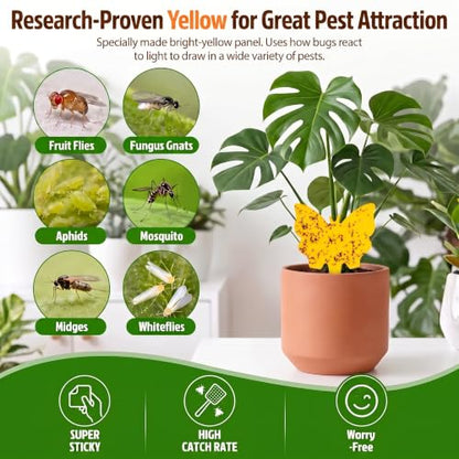 40 Pack Fungus Gnat Traps, Yellow Sticky Fruit Fly Traps for Indoor Plants - size: 40 packs